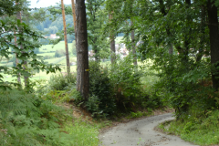 42-proti-podsmreki
