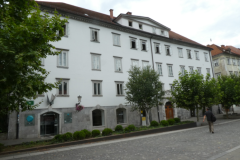 21-ziga-zois