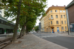 39-poljanska-cesta