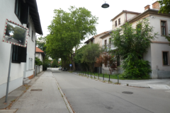 89-zelena-pot