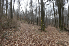 19-proti-vrhu-zelimlje