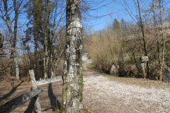 29-proti-turjaku