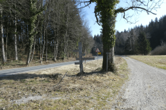 36-proti-malemu-osolniku