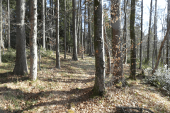 39-proti-malemu-osolniku