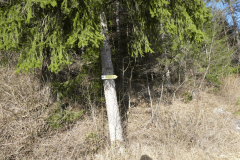 44-proti-rasici