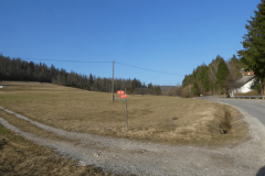 51-rasica