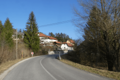 52-rasica