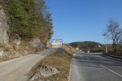53-rasica